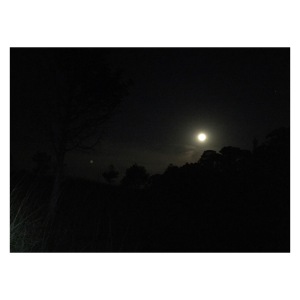 Moon over my campsite